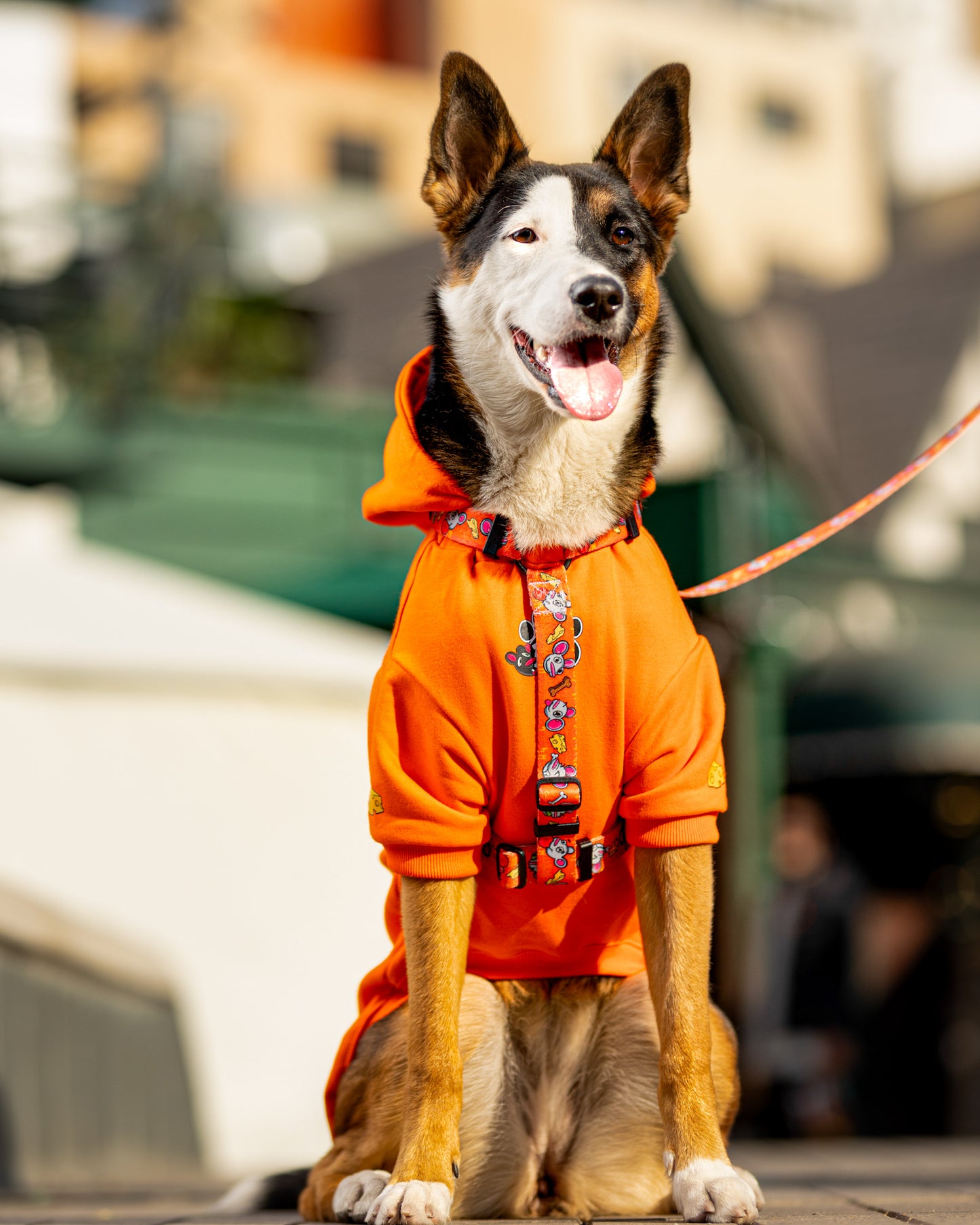 Polerón de Algodón para Perros - Colección Guauren | Color Naranjo neón