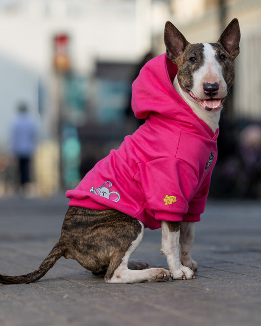 Polerón de Algodón para Perros - Colección Guauren | Color Fucsia