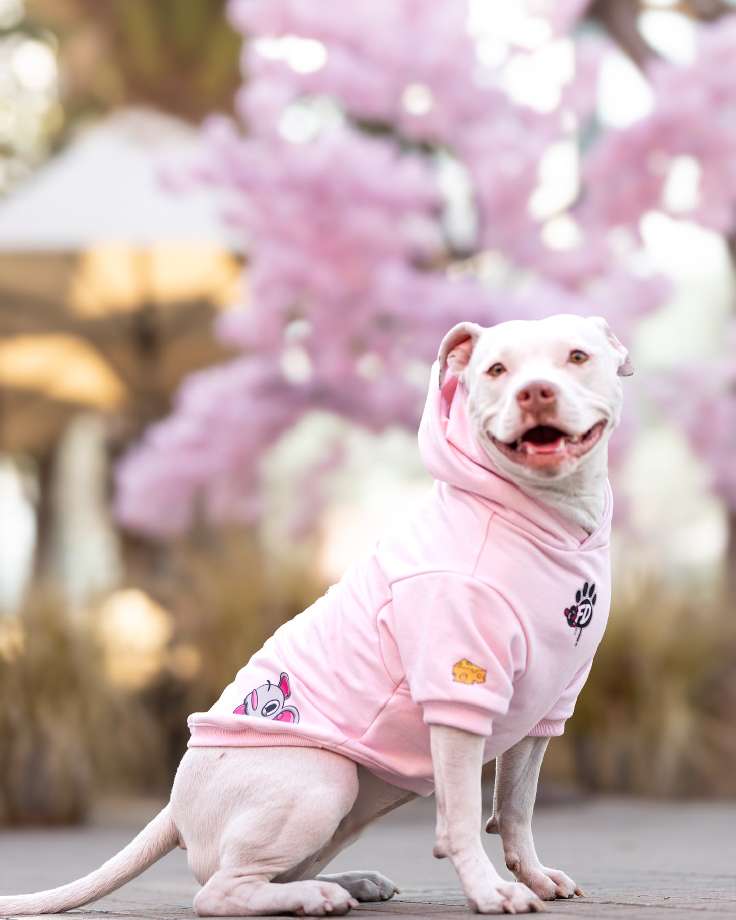 Polerón de Algodón para Perros - Colección Guauren | Color Rosado bebé