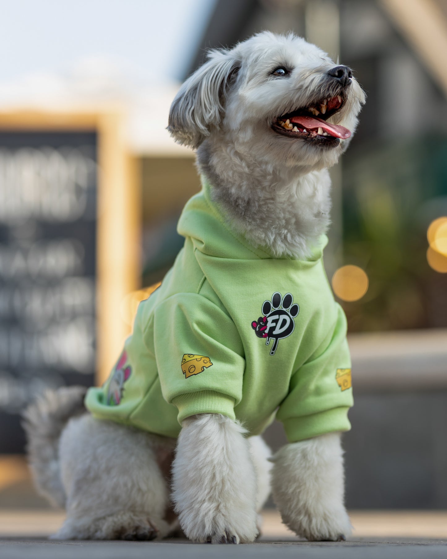 Polerón de Algodón para Perros - Colección Guauren | Color Verde Lima