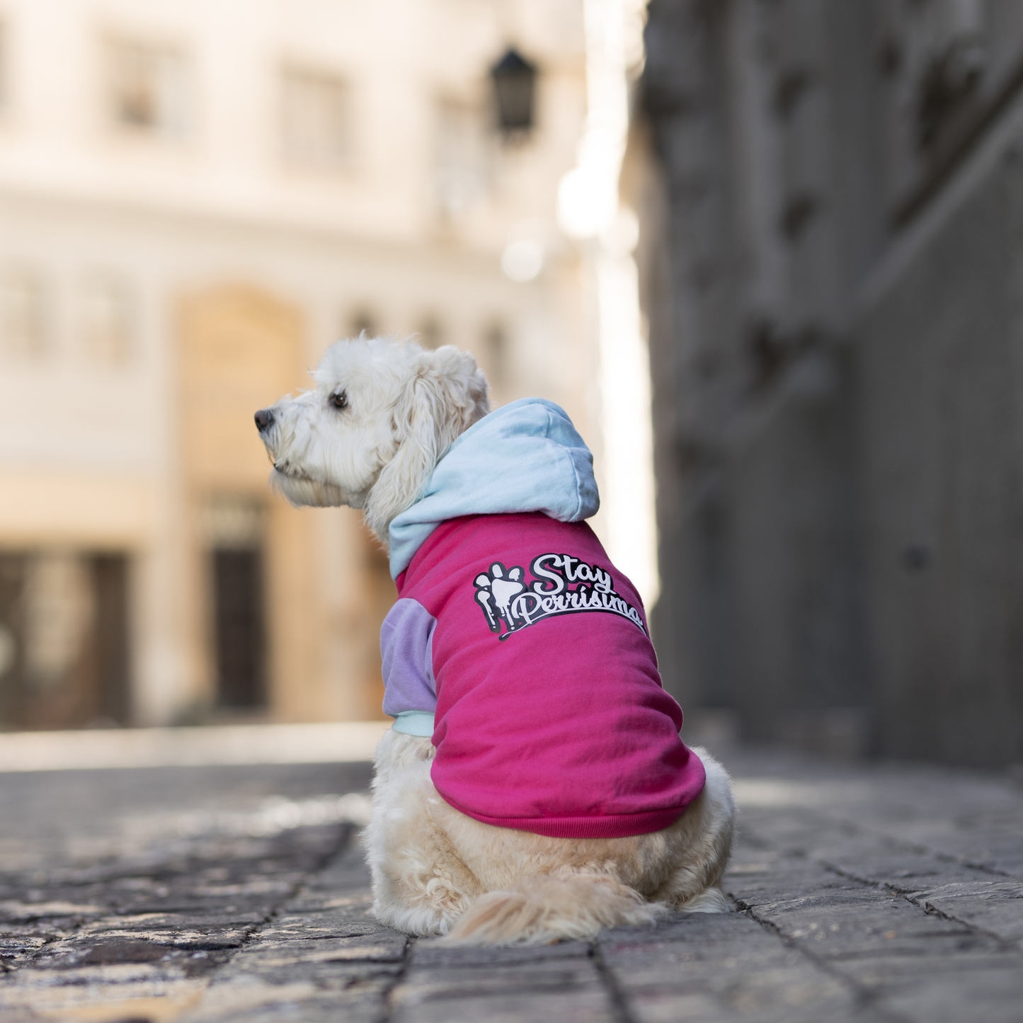 Polerón para perro Stay Perrísima Fucsia