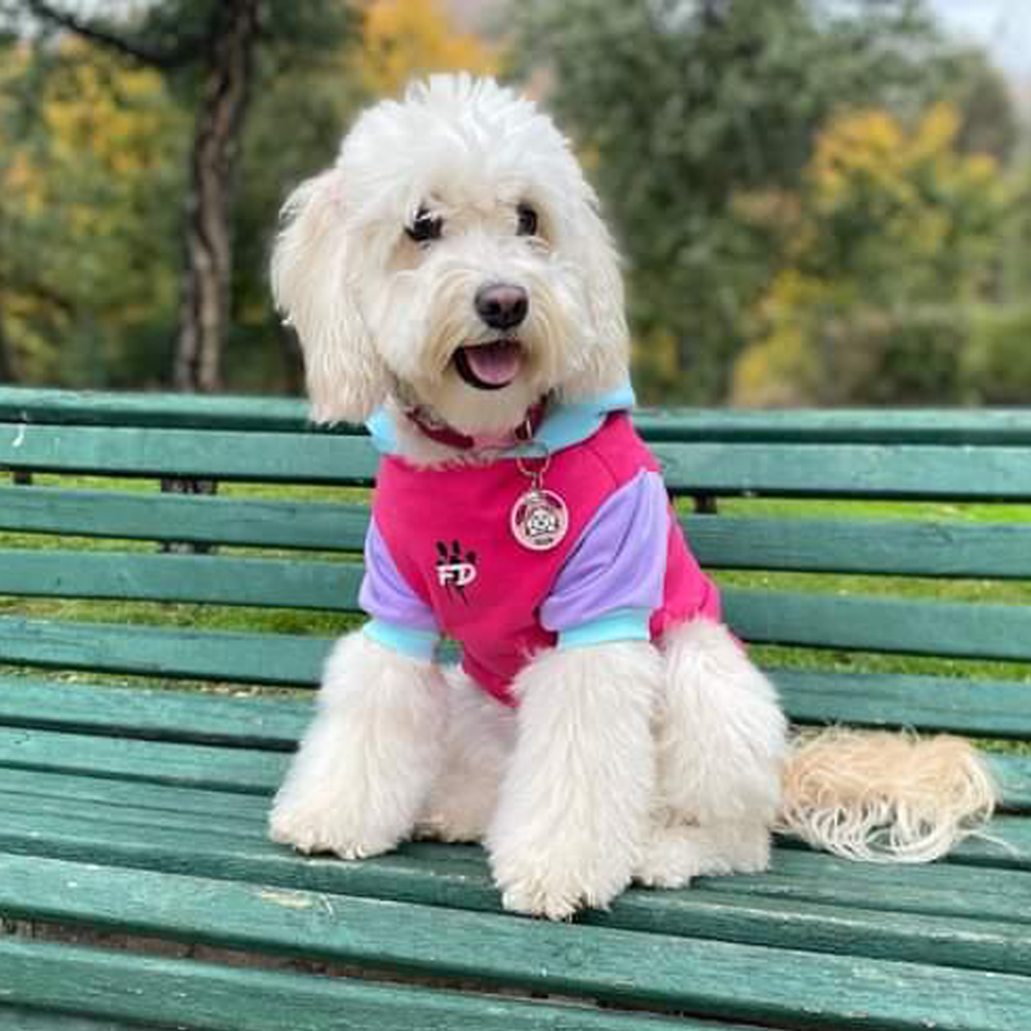 Polerón para perro Stay Perrísima Fucsia