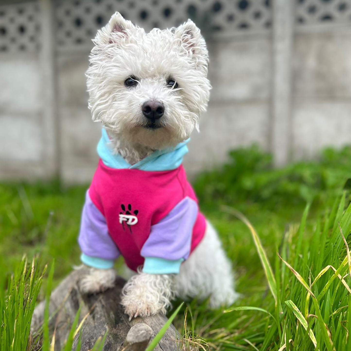 Polerón para perro Stay Perrísima Fucsia