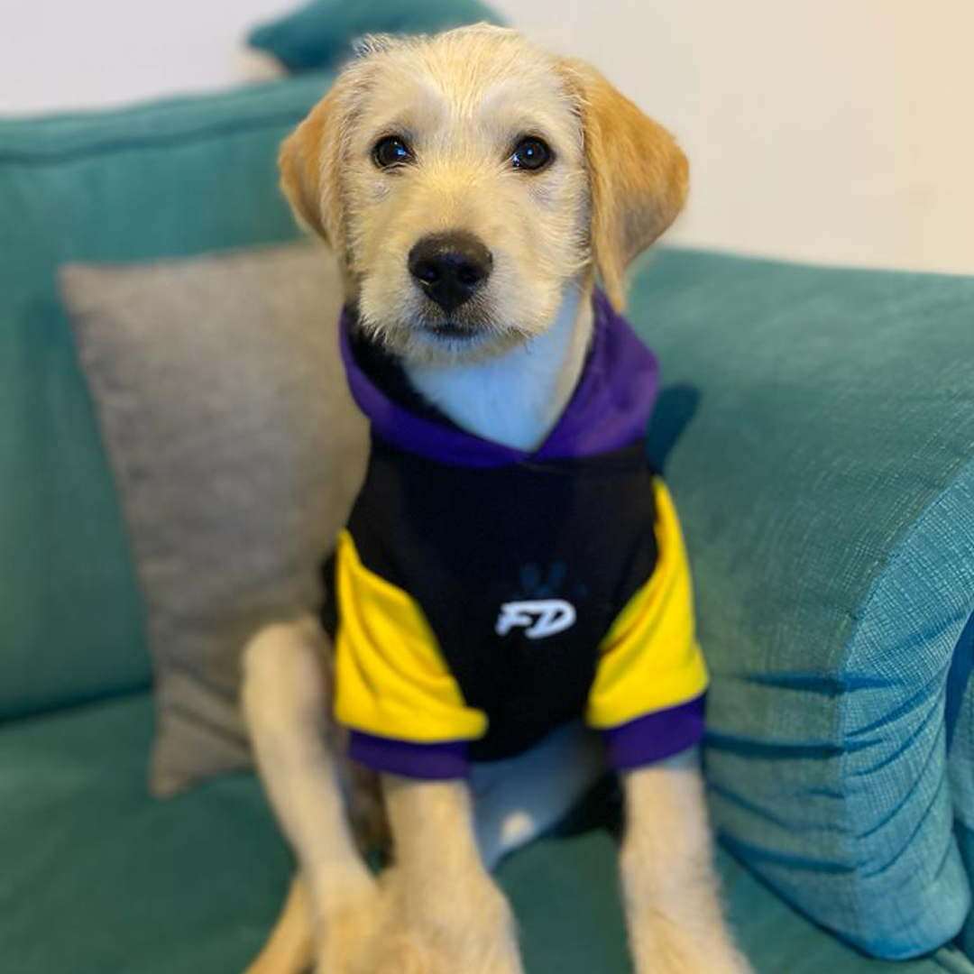 Polerón para perro Stay Perrísimo negro