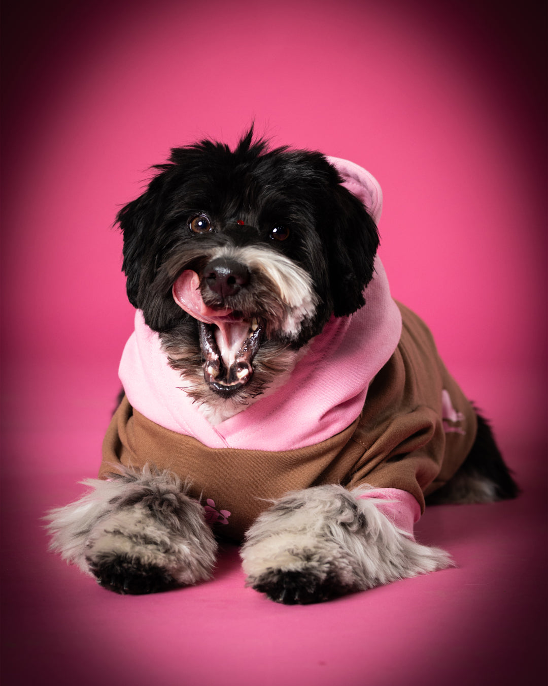 Polerón de Algodón para Perros - Colección FD25 2025 | Colores de Temporada y Estampados Exclusivos Café moka / Rosado