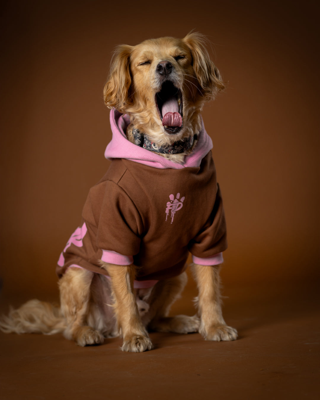 Polerón de Algodón para Perros - Colección FD25 2025 | Colores de Temporada y Estampados Exclusivos Café moka / Rosado